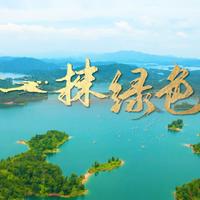 张朝夕 - 一抹绿色 (原版伴奏)