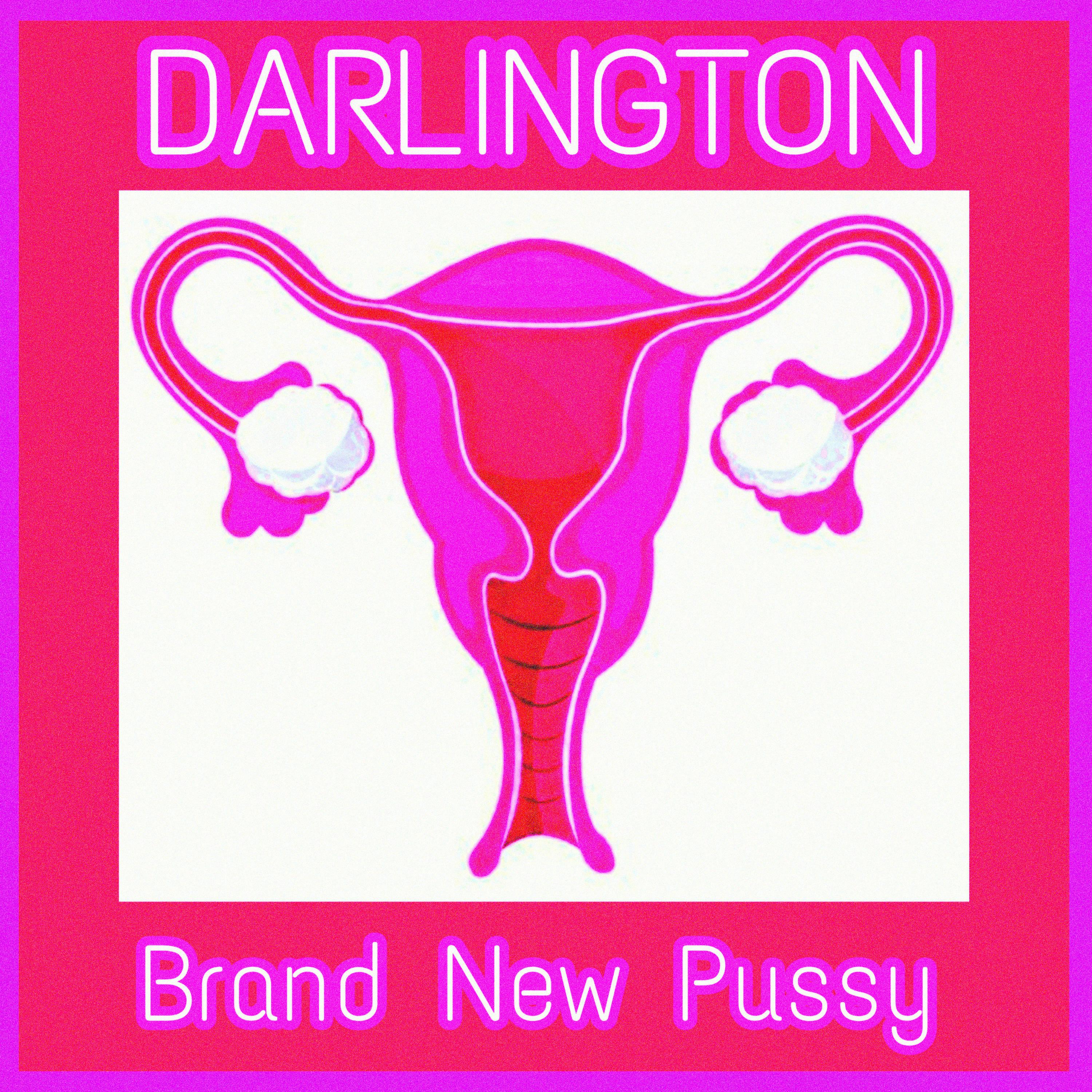 Brand New Pussy