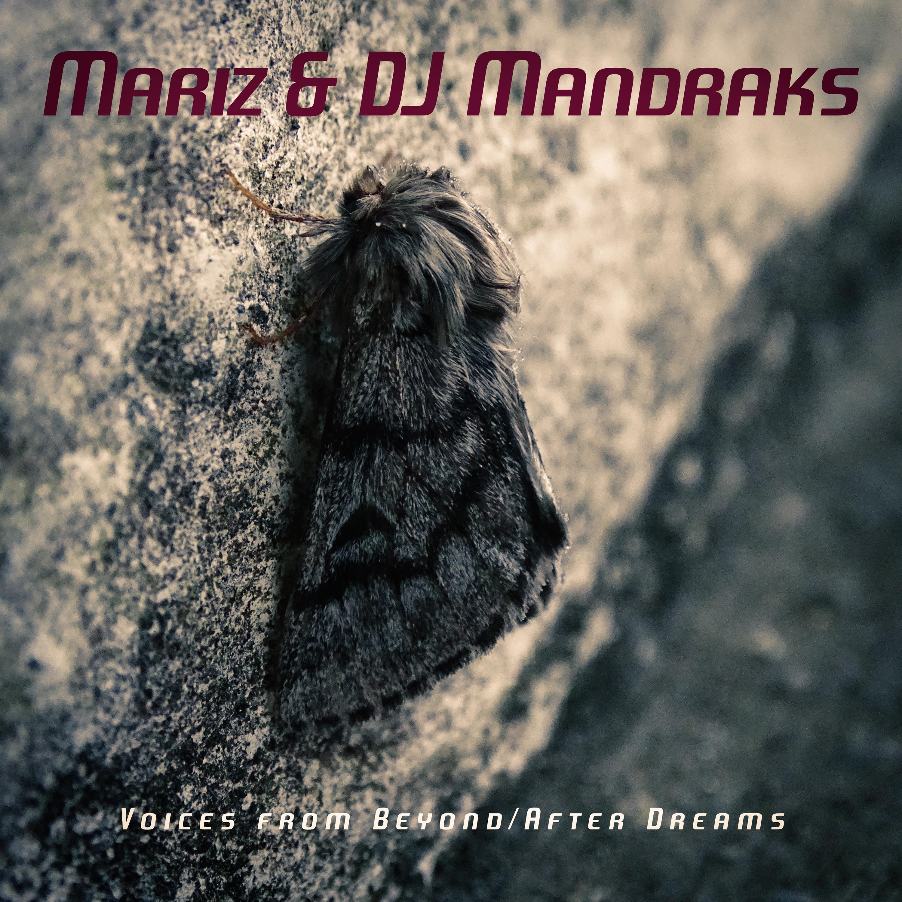 Voices from Beyond / After Dreams