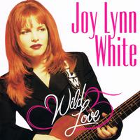 Wild Love - Joy Lynn White (karaoke)
