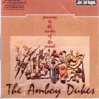 The Amboy Dukes - Flight Of The Byrd
