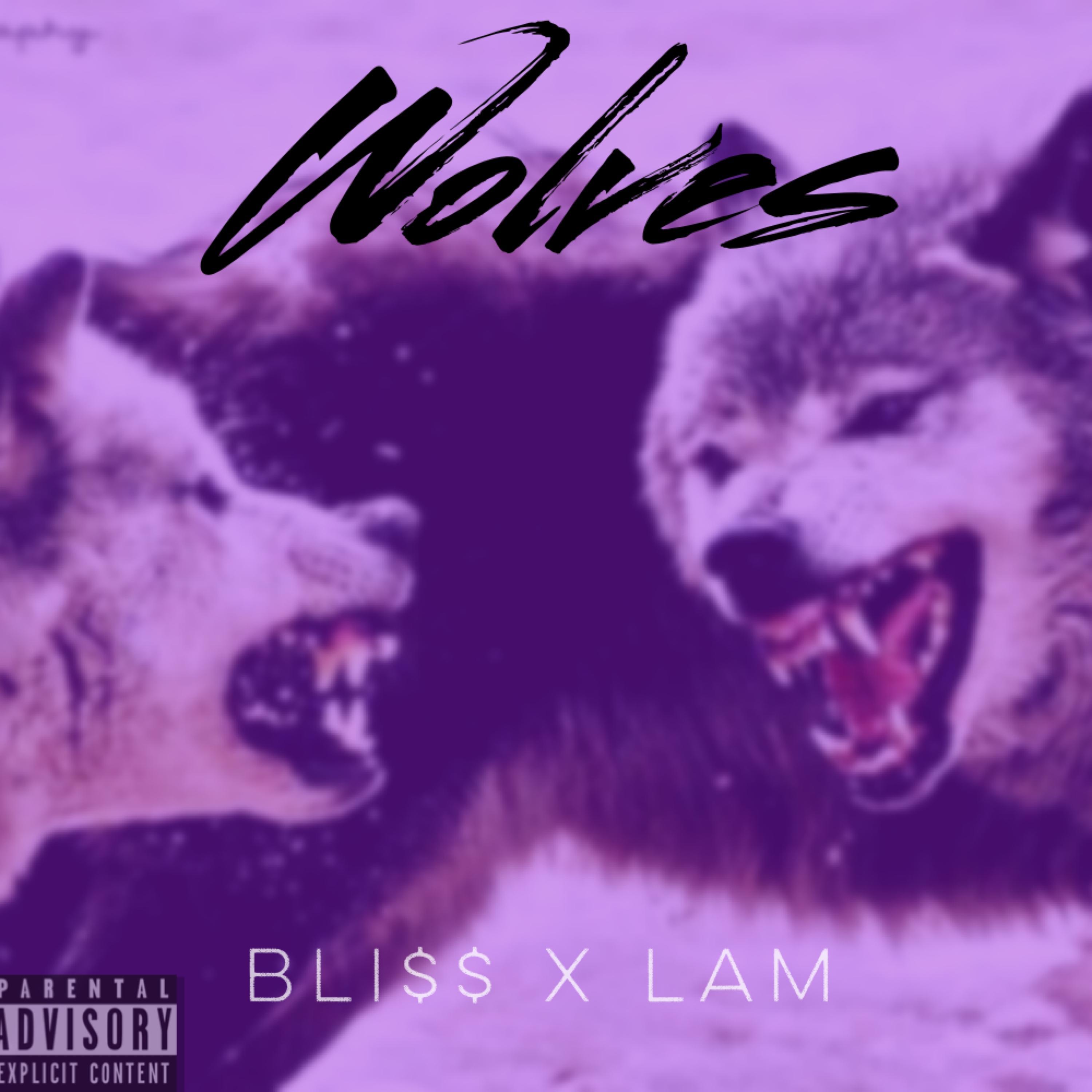 Wolves (feat. LamTheRapper)