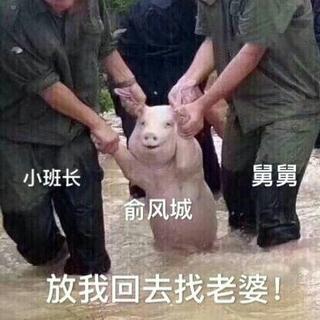 原耽女孩冲鸭！淮上/巫哲/Priest/非天夜翔