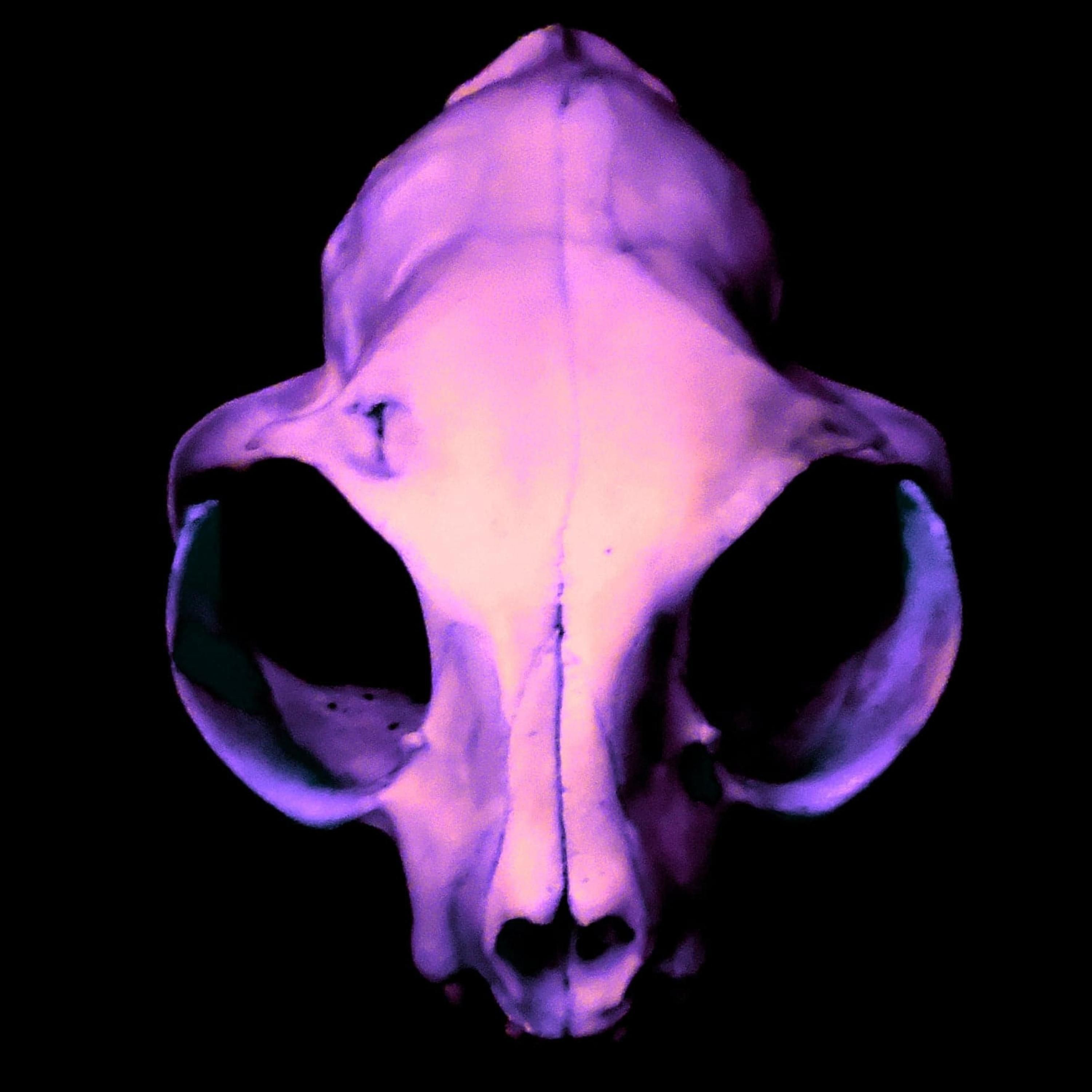 Eden