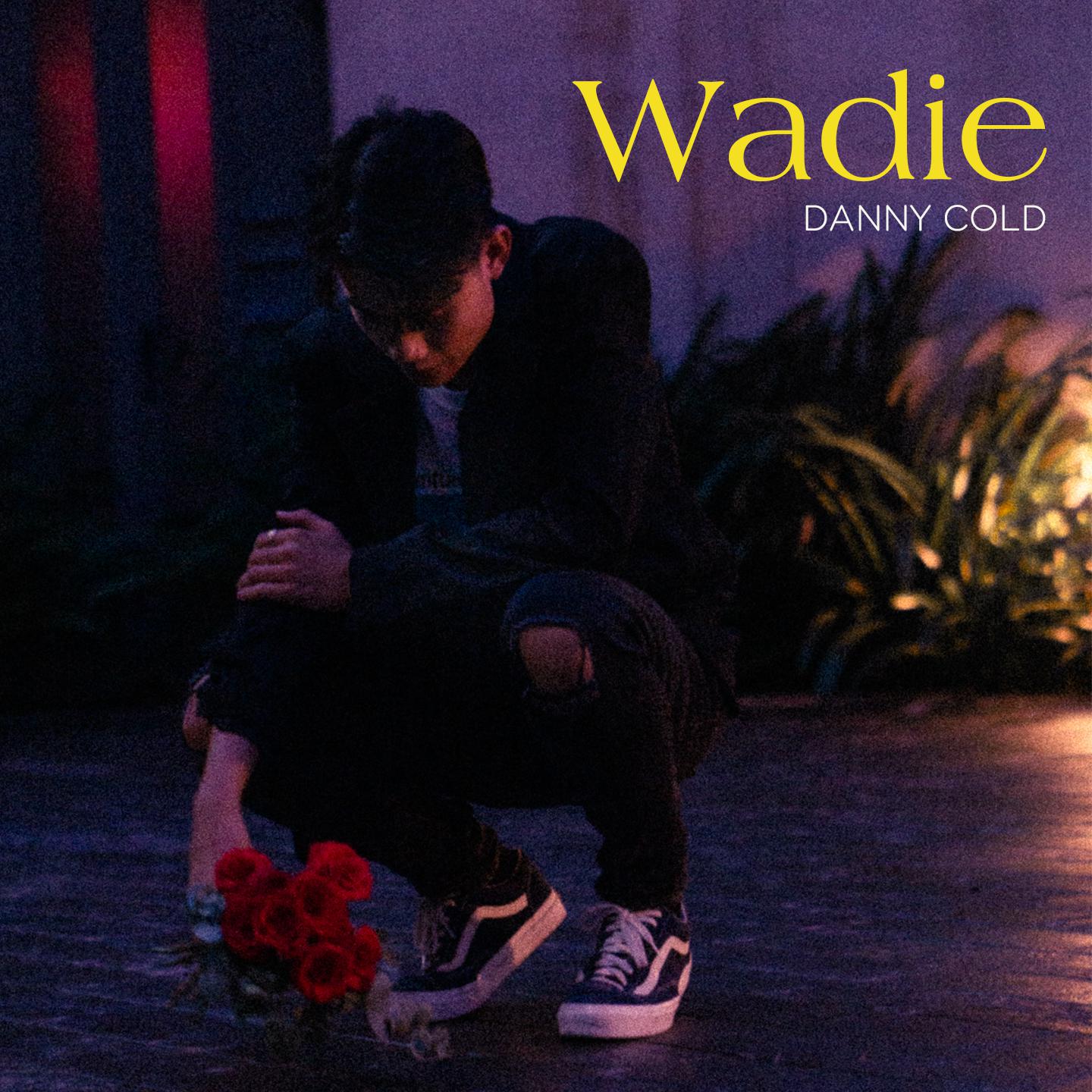 DANNYCOLD - WADIE