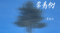 如果没有常青树专辑