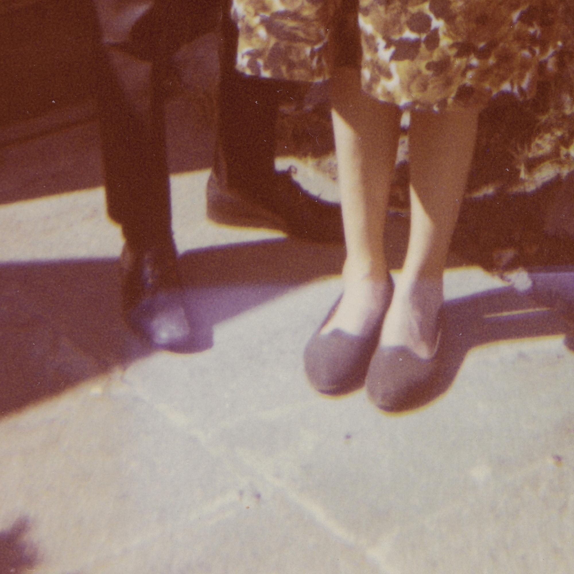 Speaking to the Rose