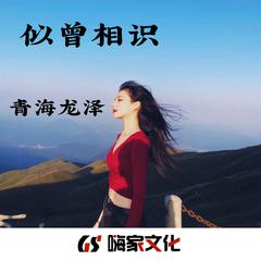 茶因不饮而凉.人因不惜而散（DJ版)