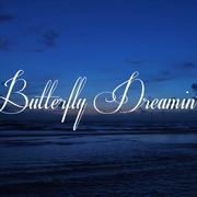 Butterfly Dreamin' (live)