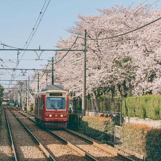 生活是一种飞行，四季是爱的衬景