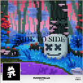 Side to Side (Slushii Rremix) & Alone(DW Mashup)