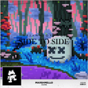 Side to Side (Slushii Rremix) & Alone(DW Mashup)专辑