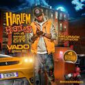 Harlem Hustler Vol. 4专辑