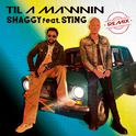 Til A Mawnin (feat. Sting) [Remix]专辑