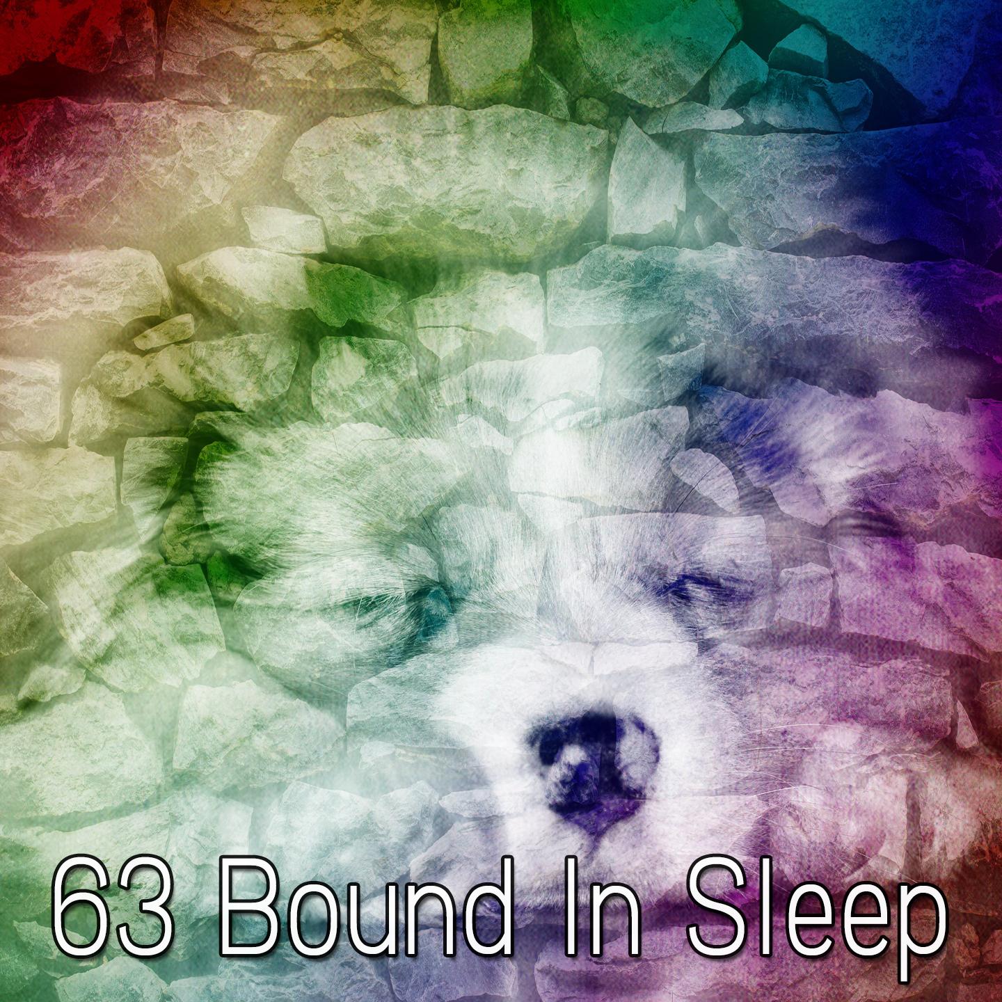 63 Bound In Sleep专辑