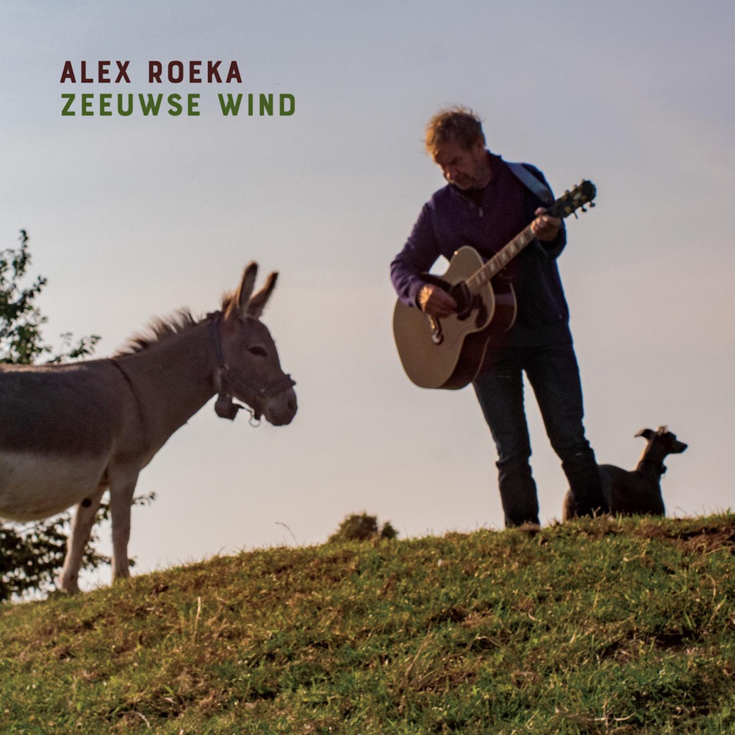 Zeeuwse wind