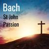 Anthony Rolfe Johnson - St. John Passion, BWV 245 / Part One:No.12 Evangelist, Chorus, Evangelist, Petrus, Servus: 