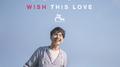 ไม่ว่าอะไร (Wish This Love) (เพลงประกอบซีรี่ส์ บังเอิญรัก Love By Chance)专辑