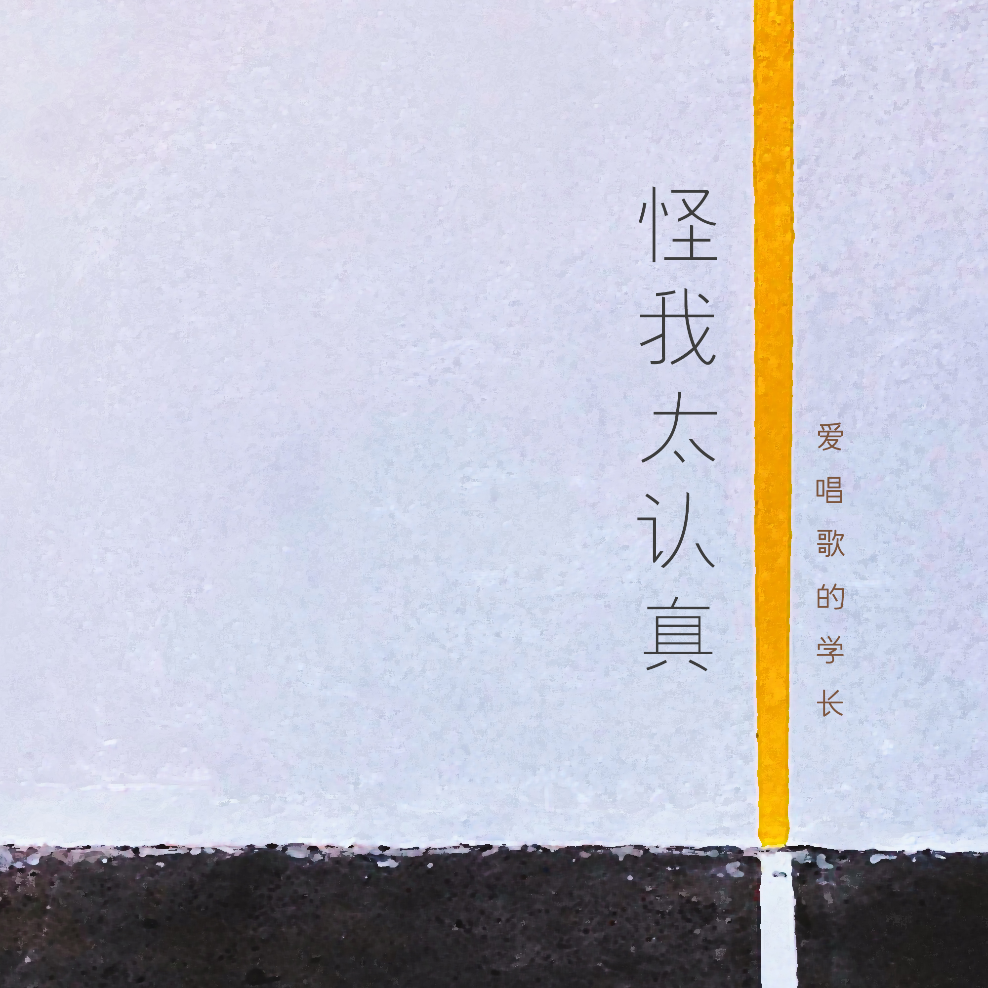 怪我太认真