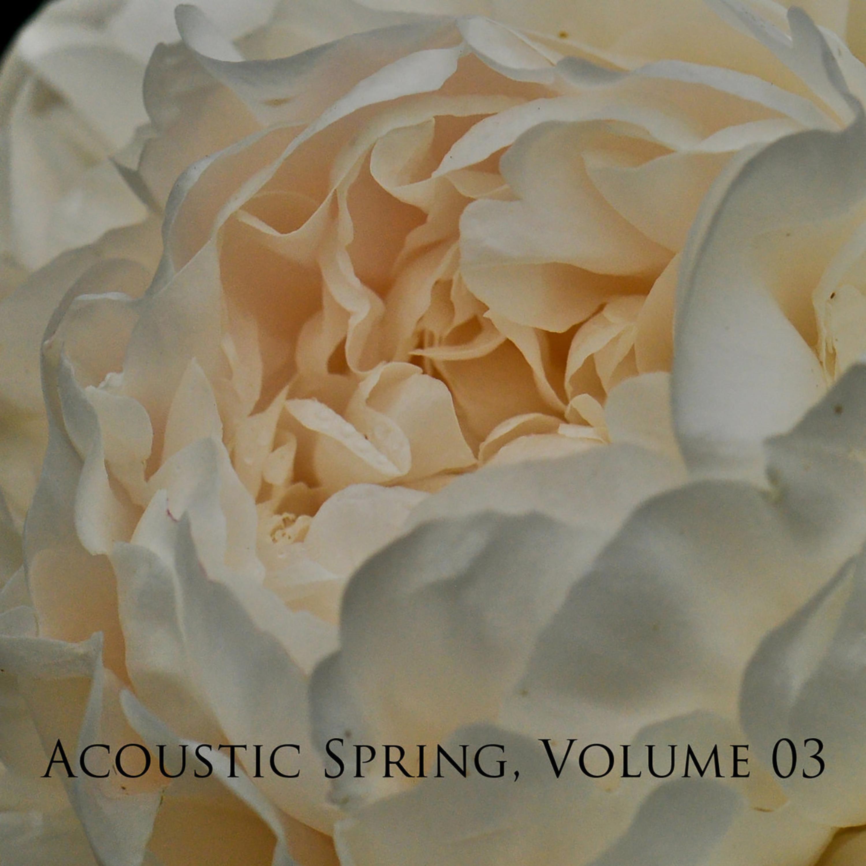 Acoustic Spring, Volume 03