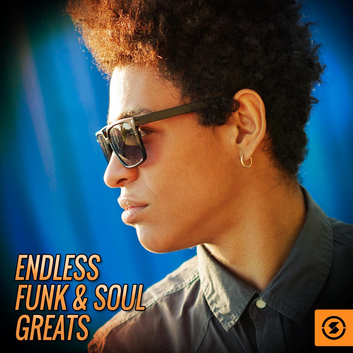 Endless Funk & Soul Greats专辑