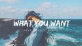 What You Want (feat. Nicole Gartz)专辑