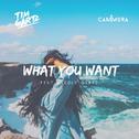 What You Want (feat. Nicole Gartz)专辑