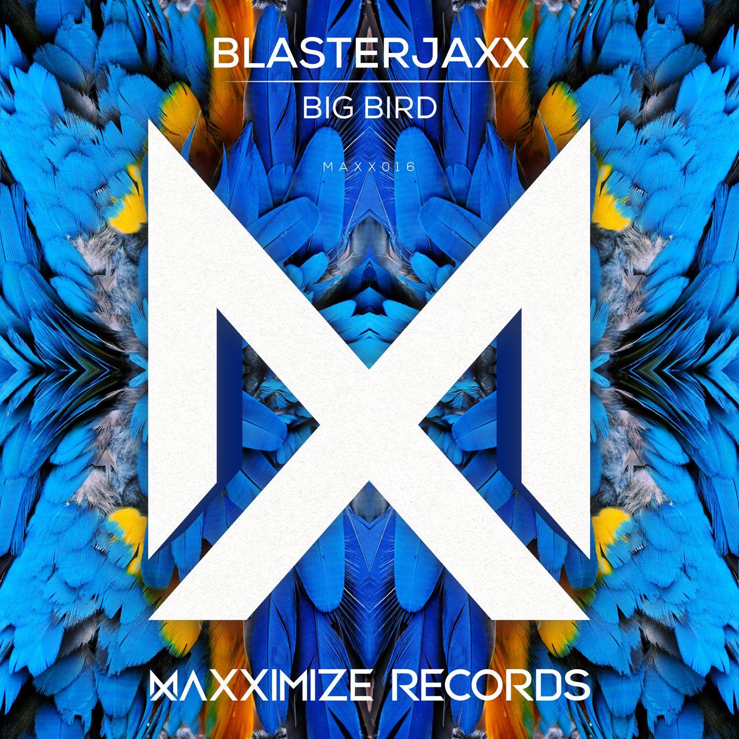 Big Bird (Extended Mix)