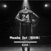 Mamba Out