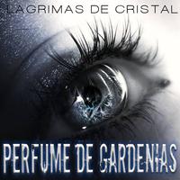 Lágrimas De Cristal - Grupo Montéz De Durango (SC karaoke) 带和声伴奏
