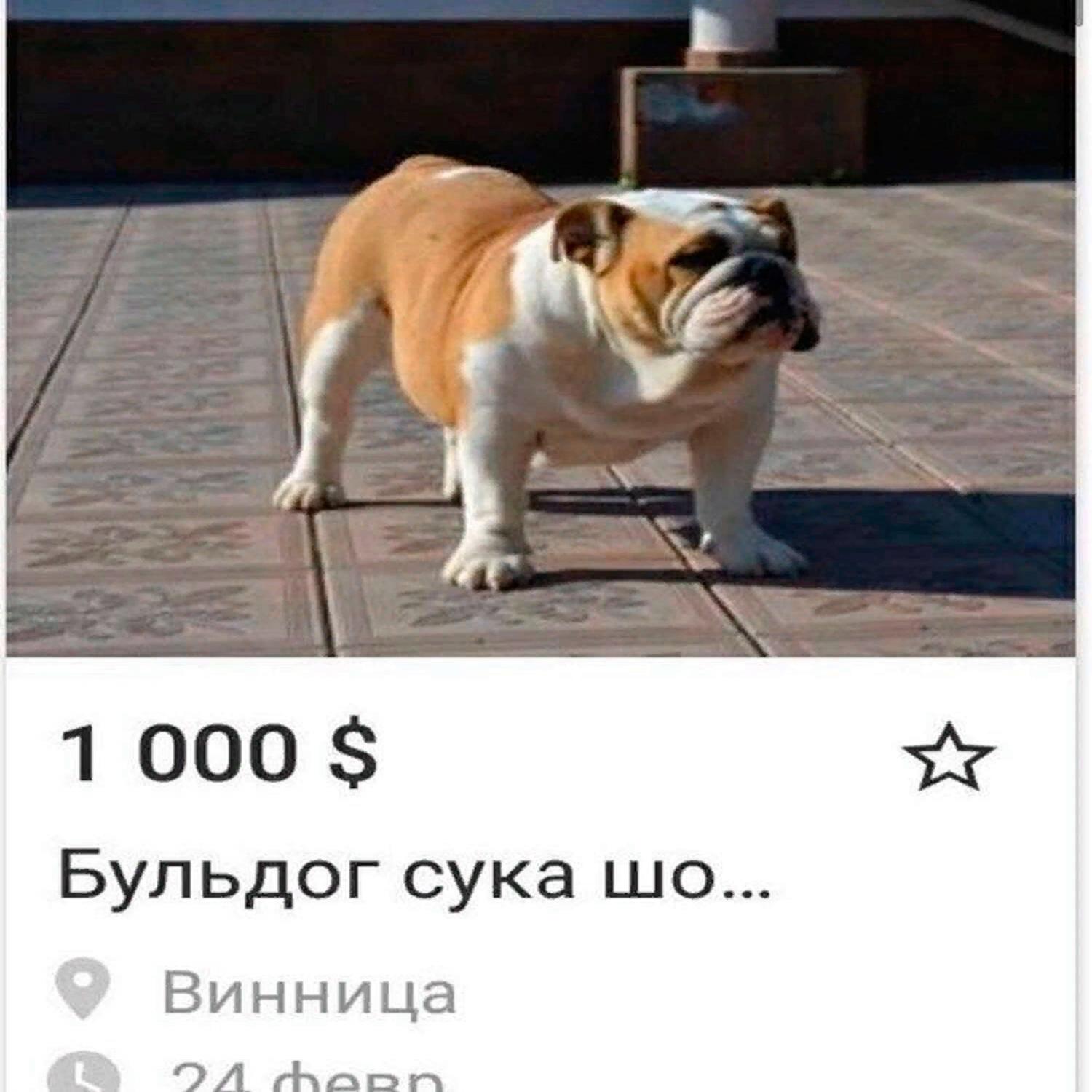 Давай взрослей