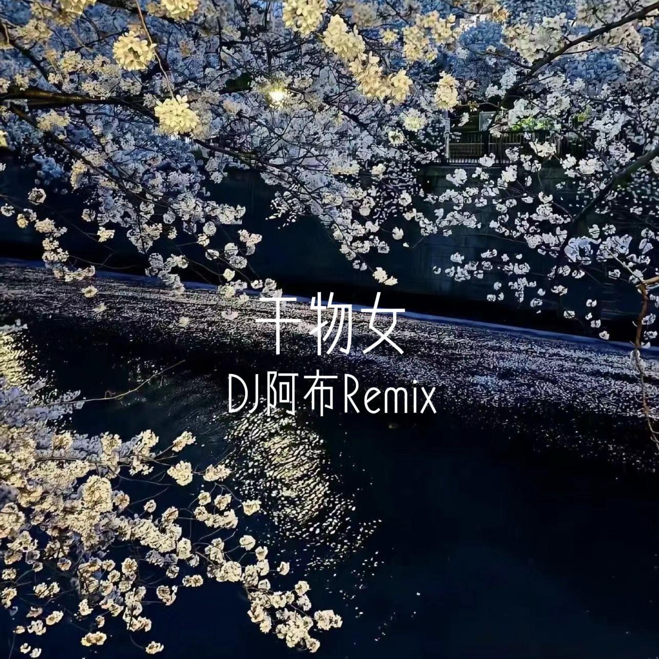 干物女 DJ阿布版