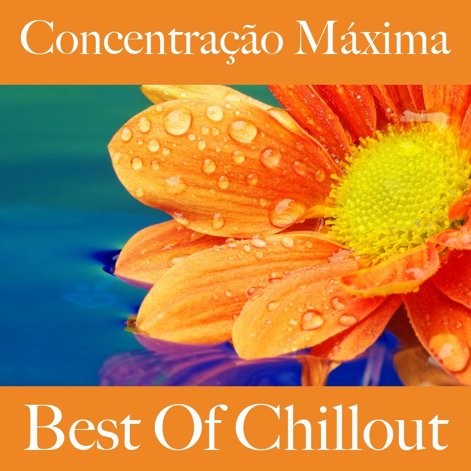 Concentração Máxima: Best Of Chillout