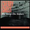 We Sleep On Stones专辑