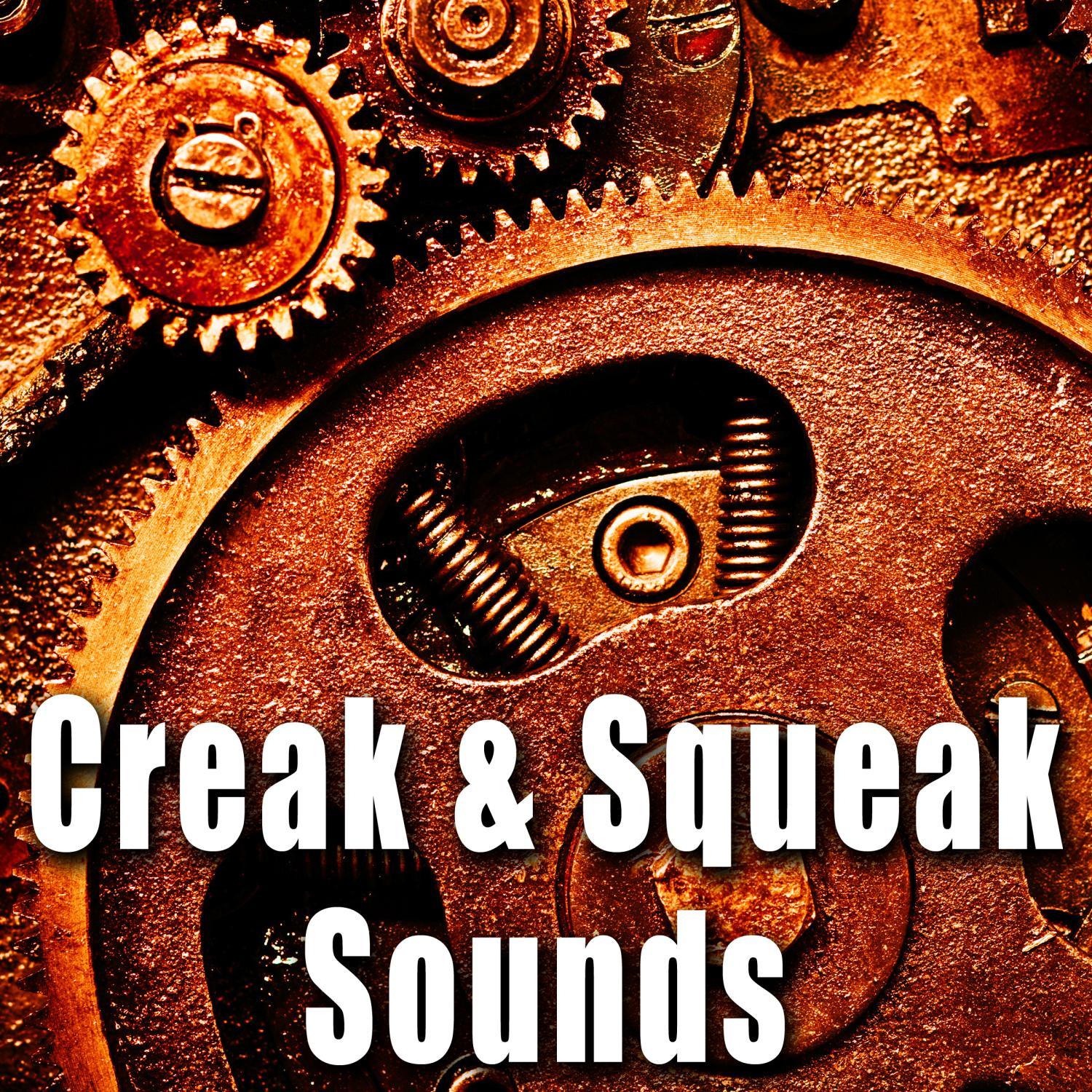 Old Creaky Car Door Closing Slowly