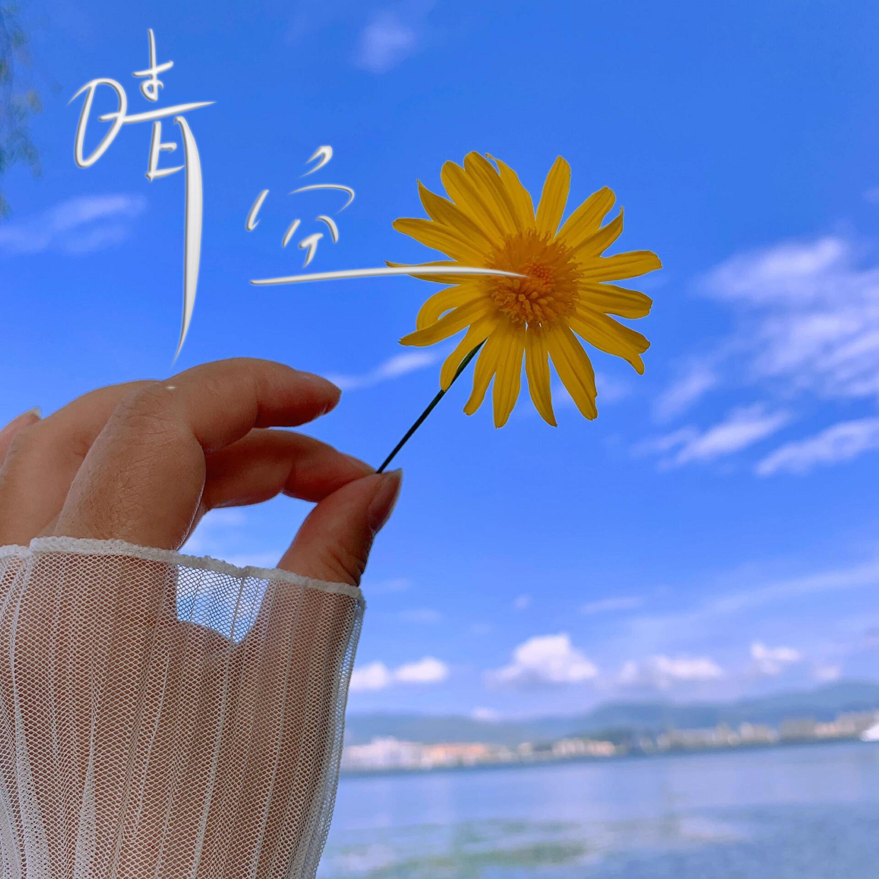 纯音乐（晴空）夏天的背景纯音乐）