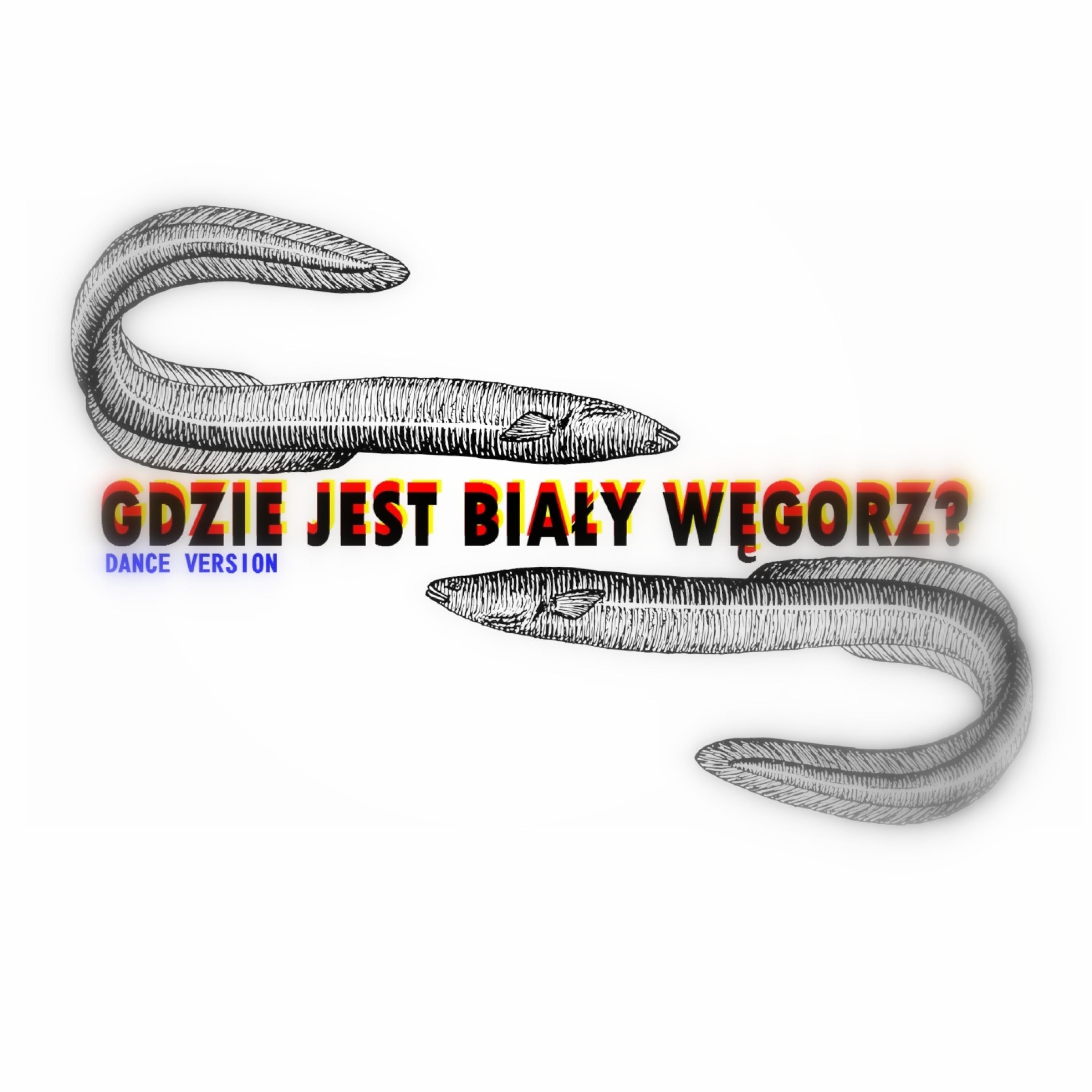 Gdzie jest biały węgorz? (feat. nita) [Dance Version]