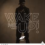 Wake Me Up (PANG! Remix)