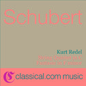 Franz Schubert, String Quintet In C, D. 956 / Op. 163专辑