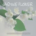 Jasmine Flower专辑