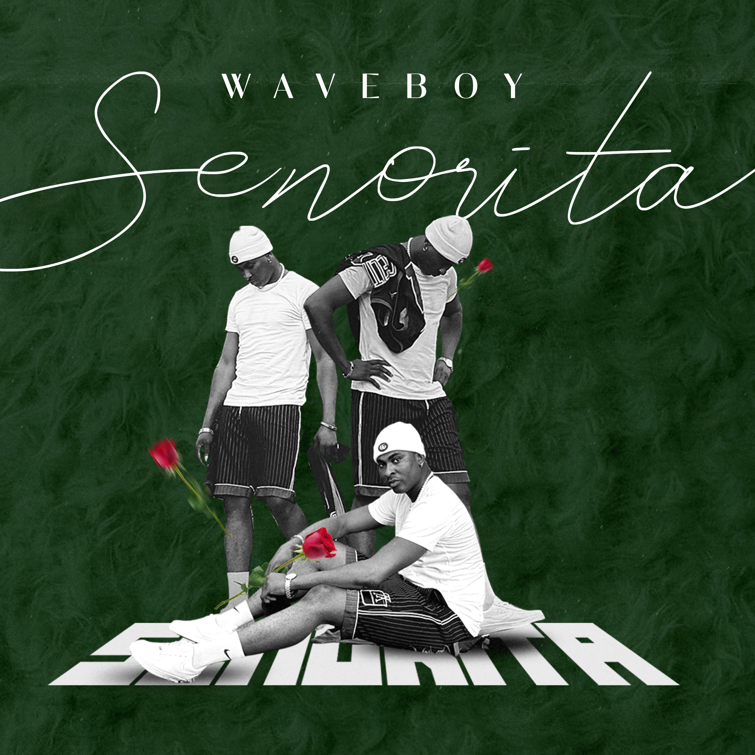 Waveboy - Senorita (Sped Up Version)