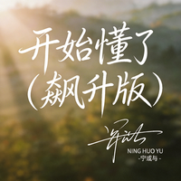 宁或与 - 开始懂了(飙升版)