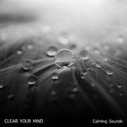 18 Relaxation Tracks for Inner Peace