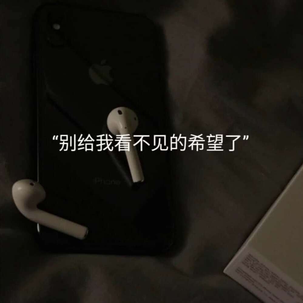 迷失幻境（翻自 王忻辰）