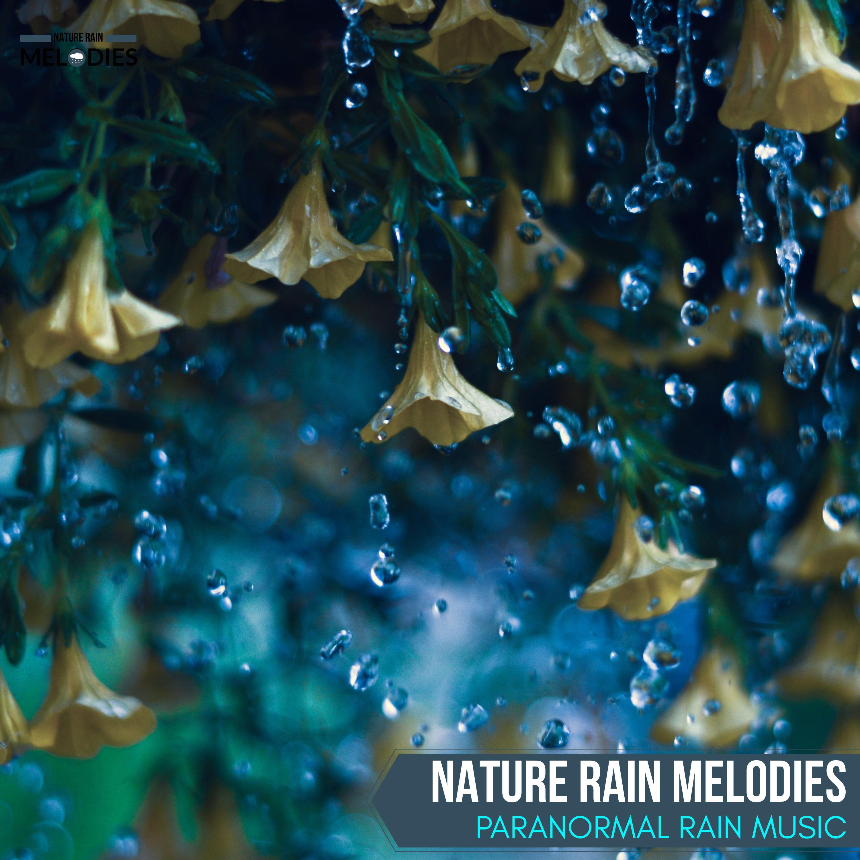 Northern Rain Point Nature Music - Occasional Bubbles Boiling