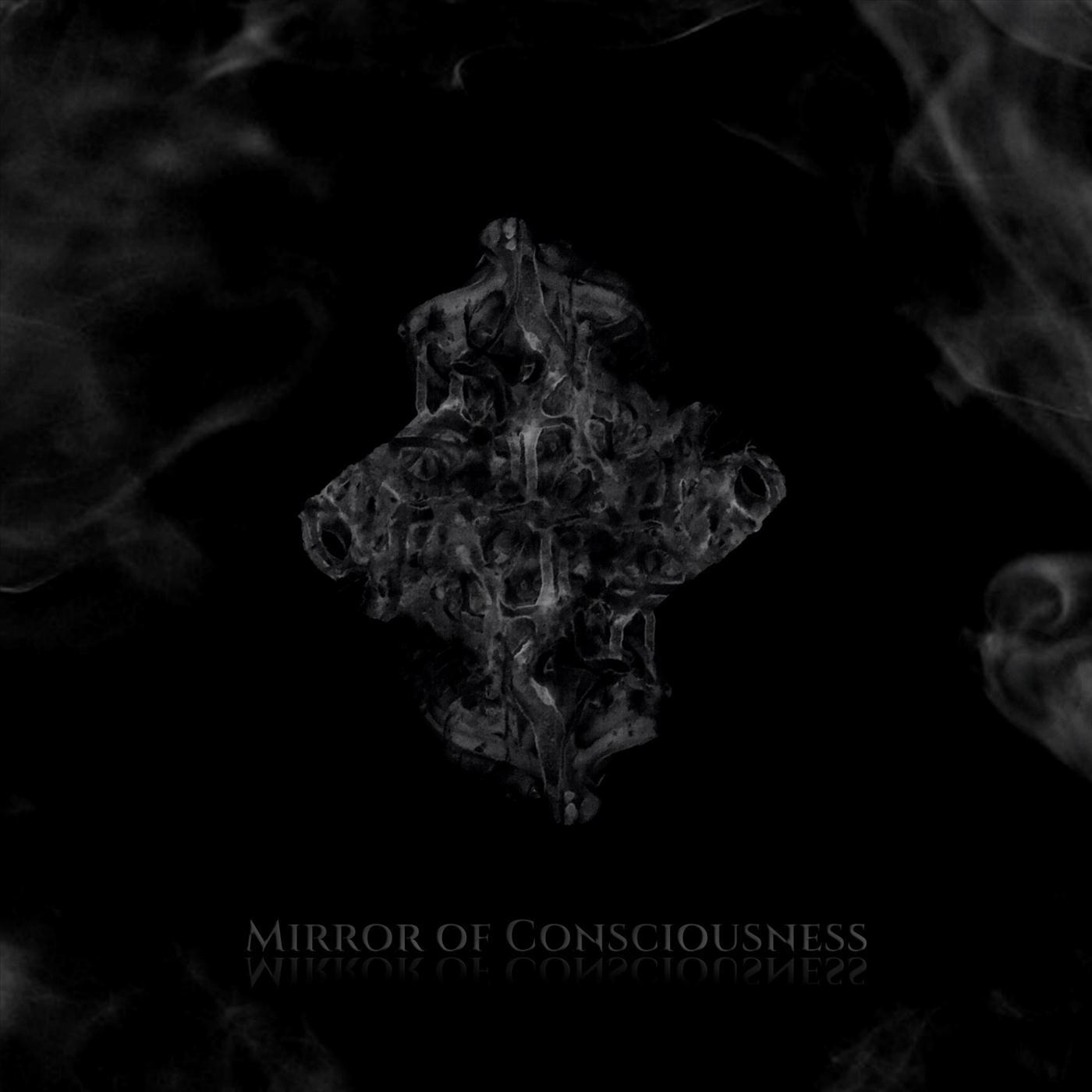 Mirror of Consciousness
