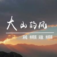 林明辉 - 大山的风(原版立体声伴奏)