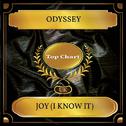 Joy (I Know It) (UK Chart Top 100 - No. 51)专辑