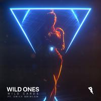 wild ones (原唱）