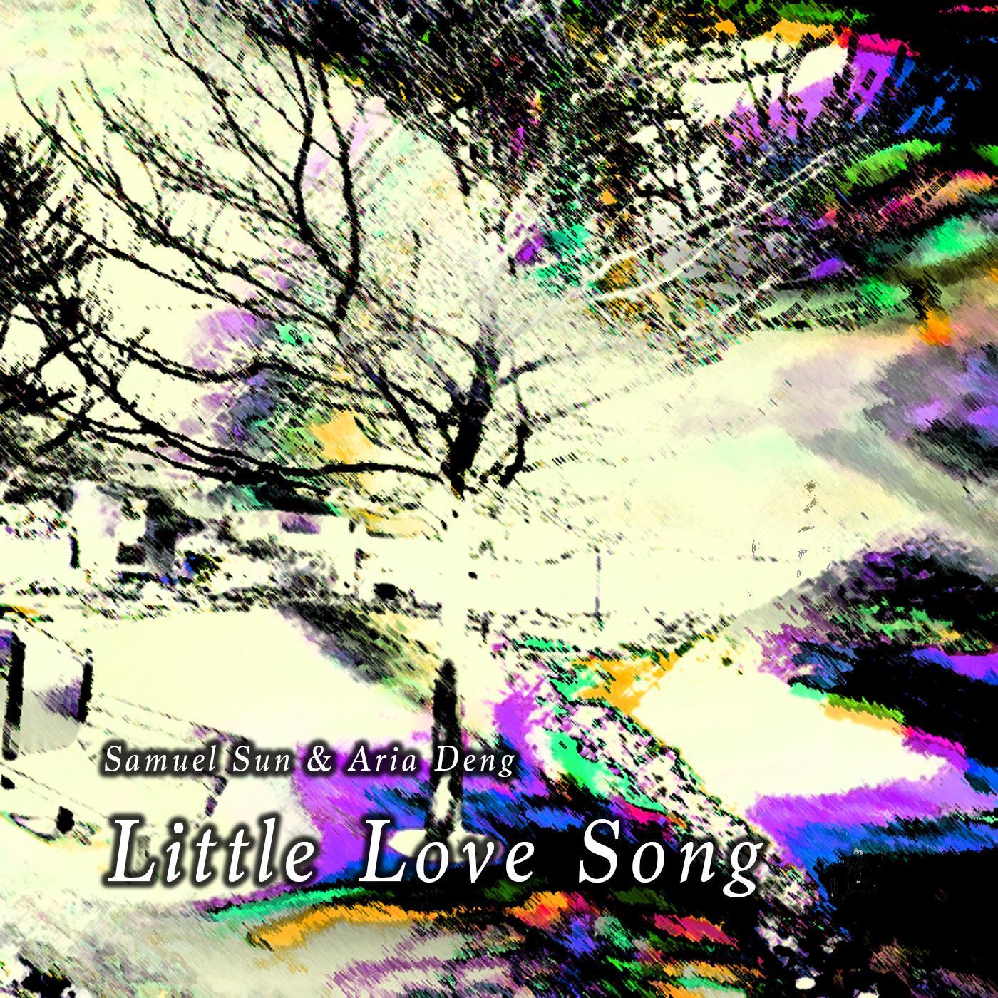 Little Love Song